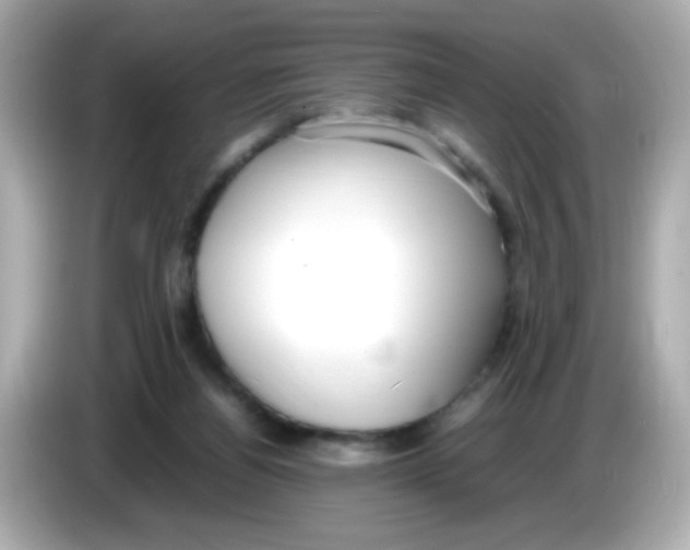 X0000085790164200704091437