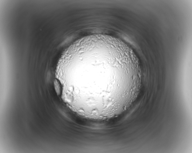 X0000085790165200704091437