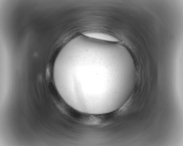 X0000085790166200704091437