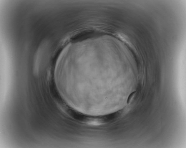 X0000085790167200704091437