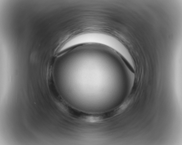X0000085790168200704091437