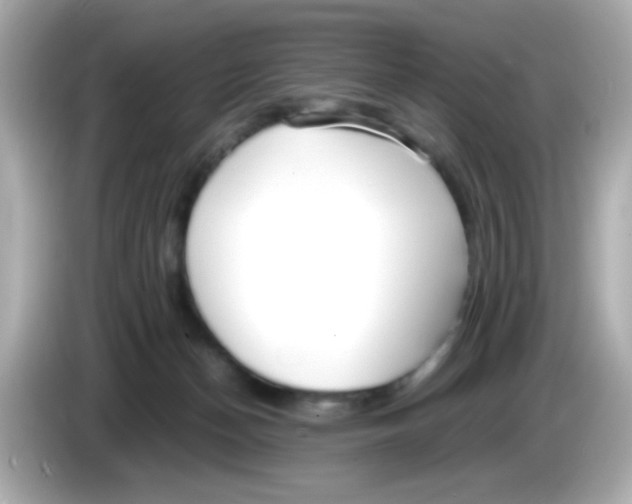 X0000085790174200704091437