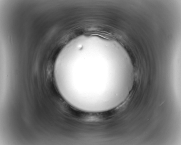 X0000085790175200704091437
