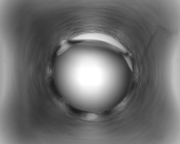 X0000085790176200704091437