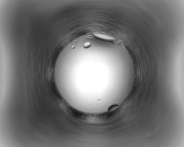X0000085790177200704091437