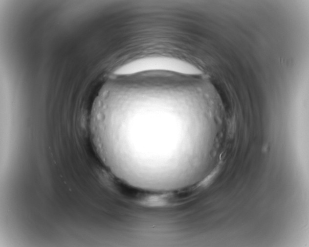 X0000085790178200704091437