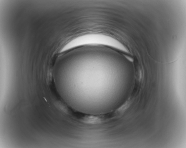 X0000085790180200704091437