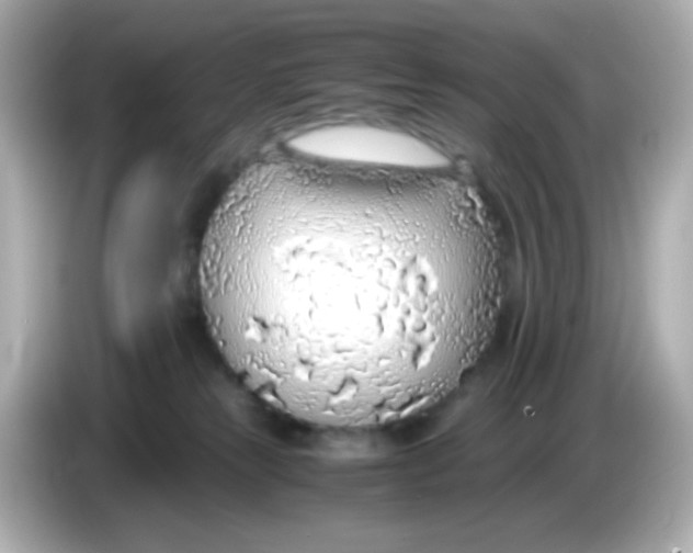 X0000085790181200704091437