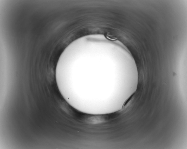 X0000085790183200704091437