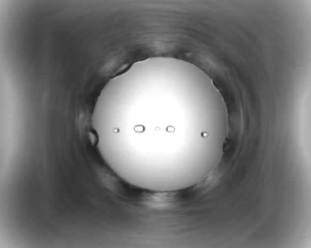 X0000085790184200704091437