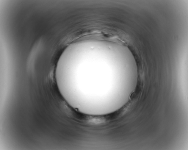 X0000085790185200704091437