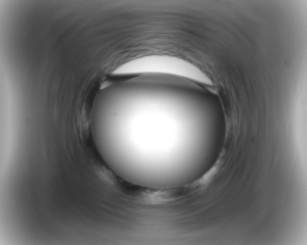 X0000085790186200704091437