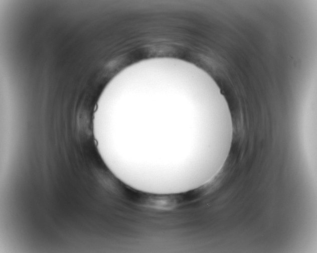 X0000085790187200704091437