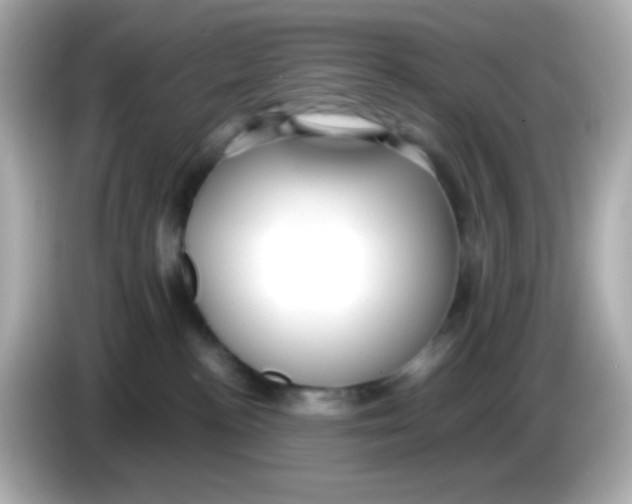 X0000085790188200704091437