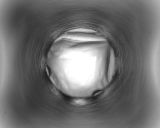 X0000085790189200704091437