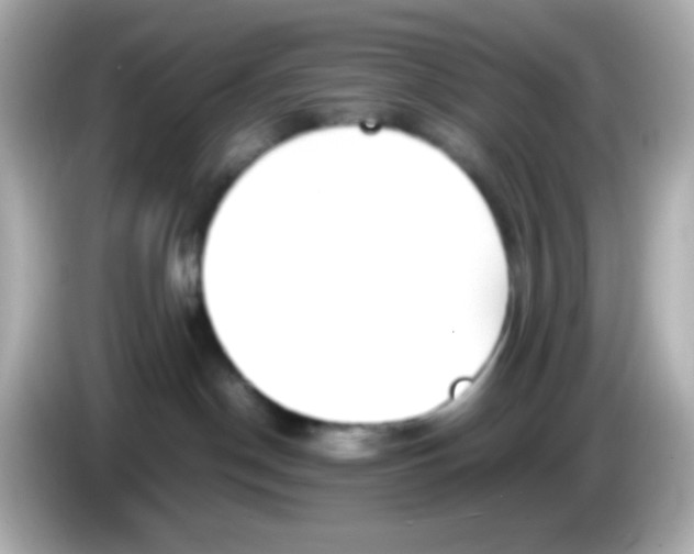X0000085790190200704091437