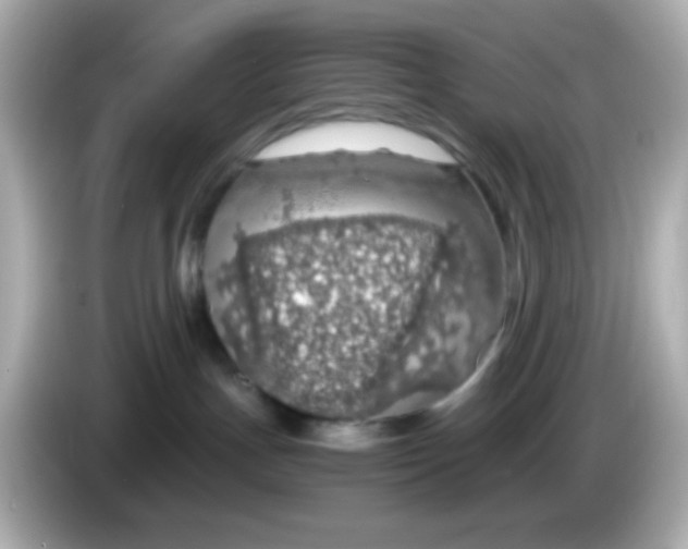 X0000085790191200704091437