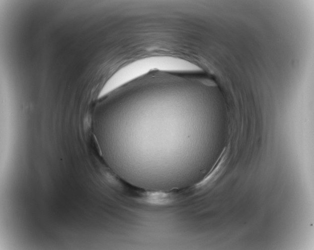 X0000085790192200704091437
