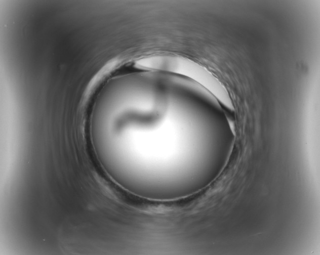 X0000085790197200704091436