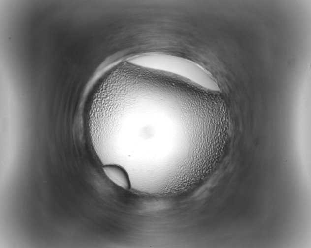 X0000085790198200704091436