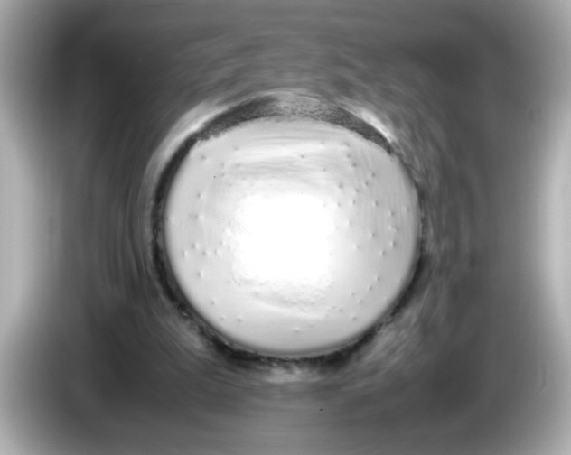 X0000085790199200704091436