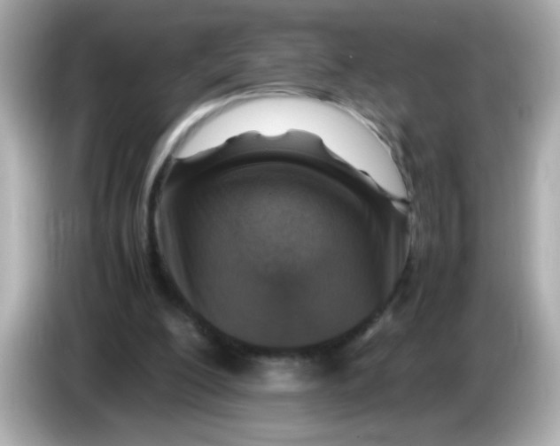X0000085790200200704091436
