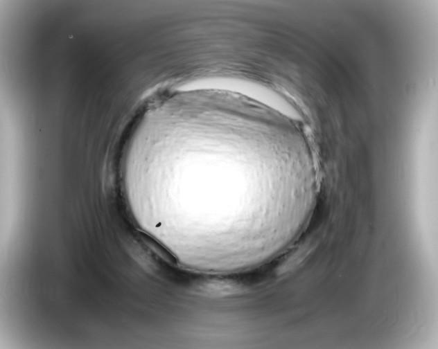 X0000085790203200704091436