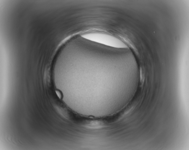 X0000085790204200704091436