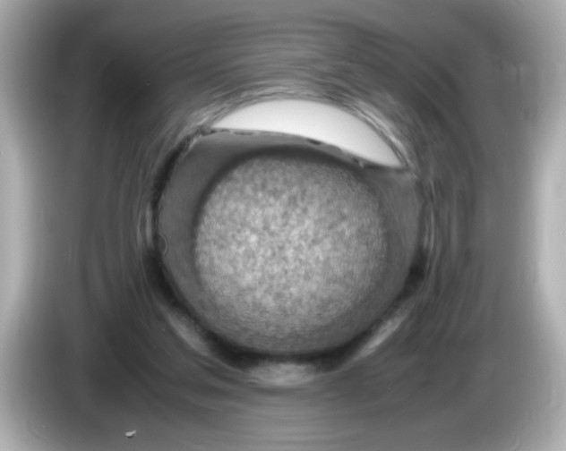 X0000085790205200704091436
