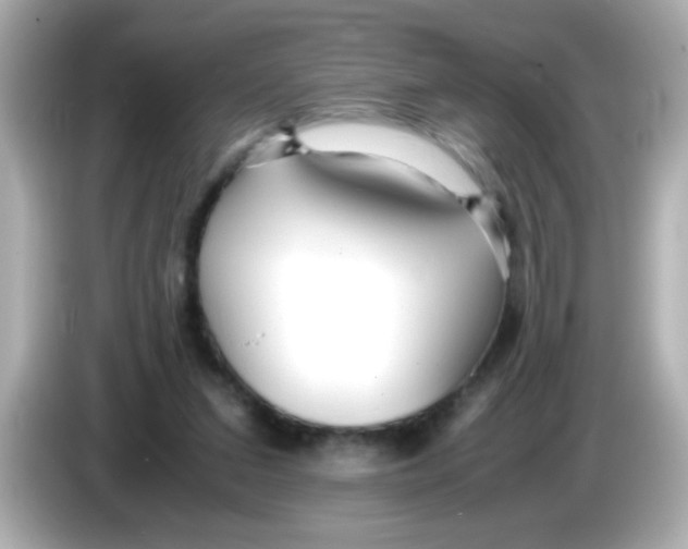 X0000085790207200704091436