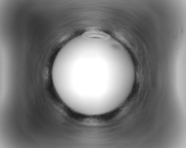 X0000085790211200704091436