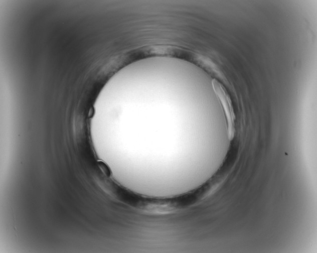X0000085790213200704091436