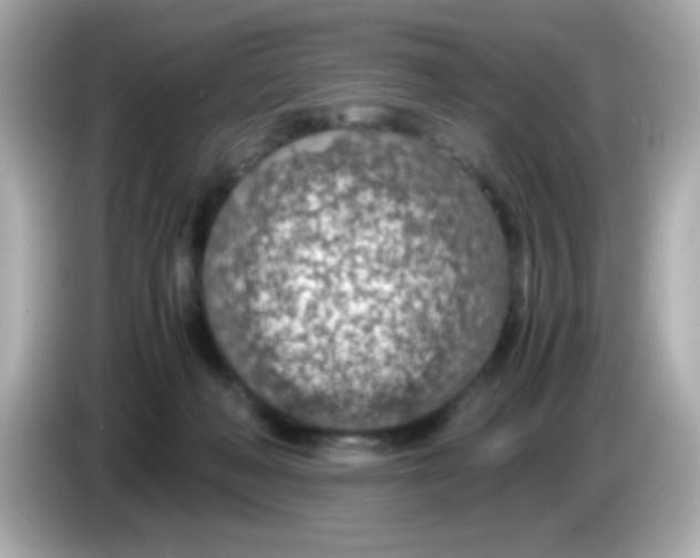 X0000085790222200704091436