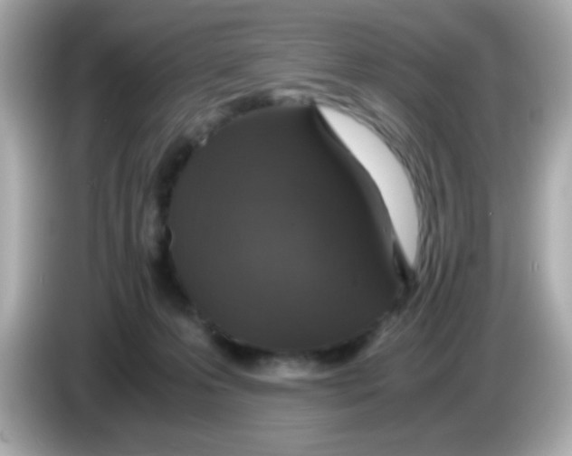 X0000085790223200704091436