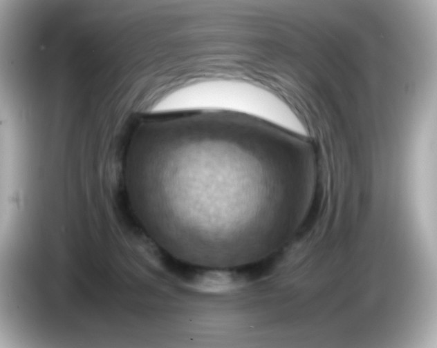 X0000085790227200704091436