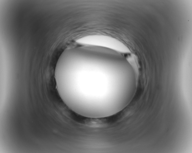 X0000085790229200704091436