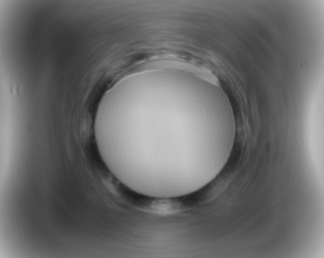 X0000085790231200704091436