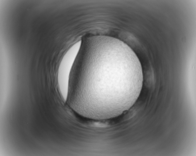 X0000085790232200704091436