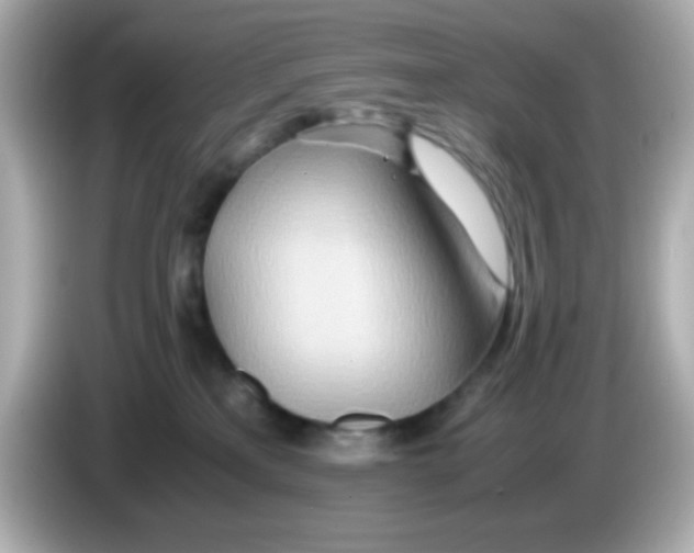 X0000085790233200704091436