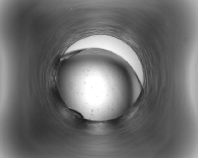 X0000085790237200704091436