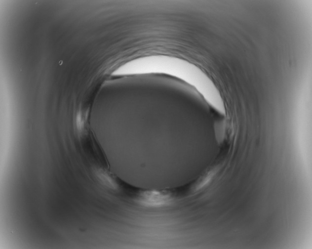 X0000085790239200704091436