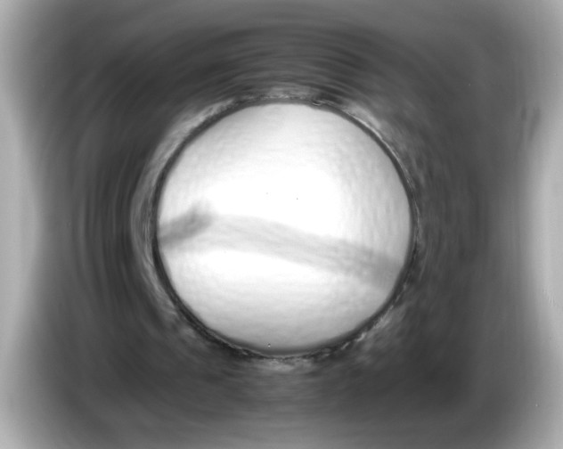 X0000085790241200704091435