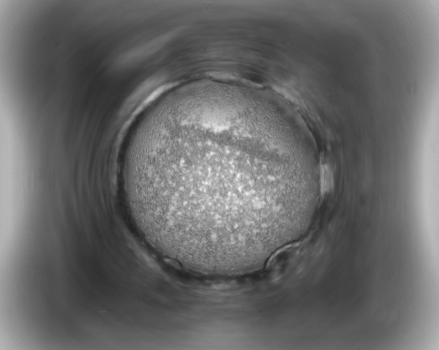 X0000085790243200704091435