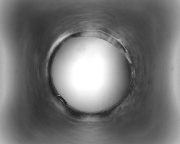 X0000085790248200704091435