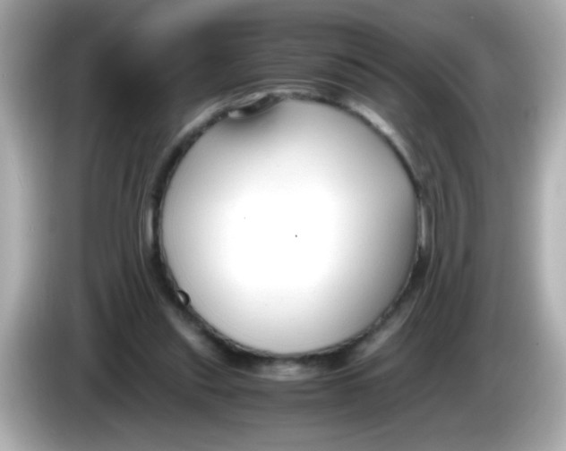 X0000085790253200704091436