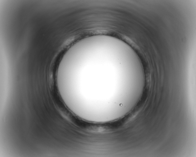 X0000085790254200704091436
