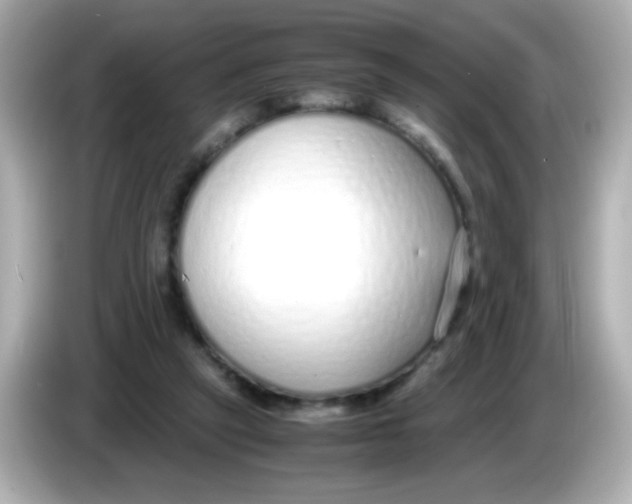 X0000085790257200704091436