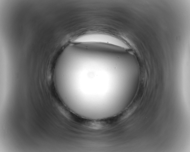 X0000085790261200704091436
