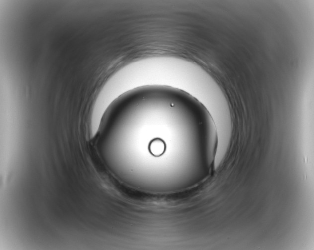 X0000085790264200704091436