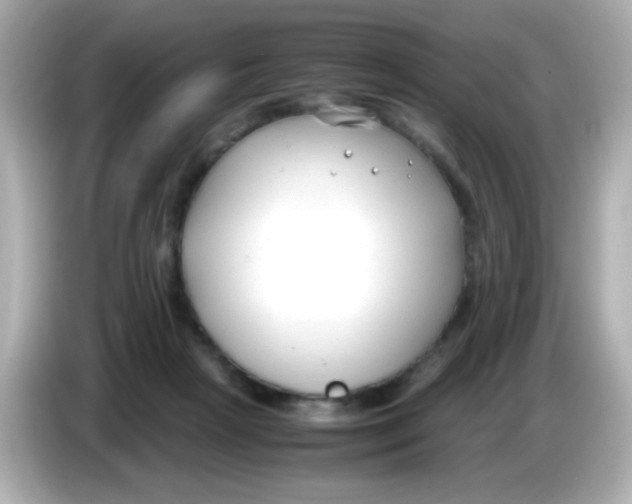 X0000085790265200704091436
